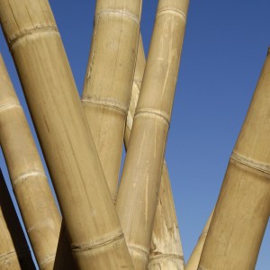 shw-21434-19902 ΚΑΛΑΜΙ BAMBOO Ø8-10 X 300ΕΚ.
