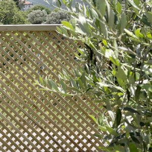 shw-21830-14751 ΚΑΦΑΣΩΤΟ ΔΙΑΜΑΝΤΙ 2 X 2 ΚΑΦΑΣΩΤΟ ΔΙΑΜΑΝΤΙ (2X2) 30 X 180ΕΚ.