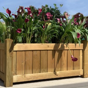 shw-30058-21470 ΞΥΛΙΝΗ ΓΛΑΣΤΡΑ ΓΡΑΝΑΔΑ  45(Υ) X 50 X 100ΕΚ.