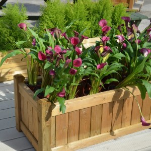 shw-30058-21471 ΞΥΛΙΝΗ ΓΛΑΣΤΡΑ ΓΡΑΝΑΔΑ  45(Υ) X 50 X 100ΕΚ.