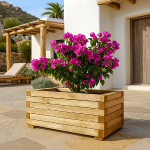 shw-30161-20259 ΞΥΛΙΝΗ ΓΛΑΣΤΡΑ 33 X 90ΕΚ.