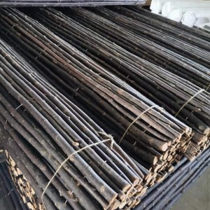 shw-30371-17525 ΛΥΓΑΡΙΑ ΜΑΣΙΦ Ø18-30 |200(Υ) X 200ΕΚ.