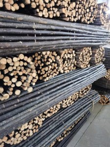 shw-30371-18803 ΛΥΓΑΡΙΑ ΜΑΣΙΦ Ø18-30 |200(Υ) X 200ΕΚ.