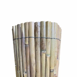 shw-31259-21521 ΚΑΛΑΜΩΤΗ ΑΠΟ ΜΙΣΟ ΚΑΛΑΜΙ – ΔΙΕΤΟΥΣ ΑΝΑΠΤΥΞΗΣ 100 X 500 ΕΚ.