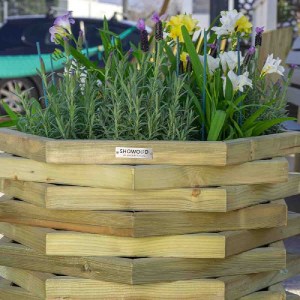 shw-50468-13388 ΞΥΛΙΝΗ ΓΛΑΣΤΡΑ ΕΞΑΓΩΝΗ 12 ΠΛΕΥΡΩΝ ΞΥΛΙΝΗ ΓΛΑΣΤΡΑ ΕΞΑΓΩΝΗ 12ΠΛΕΥΡΩΝ 56(Υ) X Φ55ΕΚ.