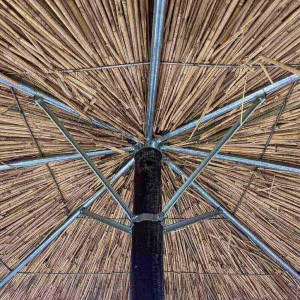 tesias-01546-01546-01-tropicali-omprella-paralias-tesias ΤΡΟΠΙΚΗ ΟΜΠΡΕΛΑ THACK Φ210CM ΑΝΤΟΧΗΣ 6 ΜΠΟΦΟΡ-TESIAS GROUP
