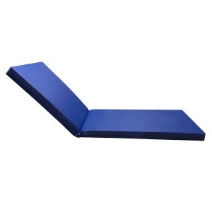 tesias-1965-10-1965-10-01-stroma-xaplostras-blue ΣΤΡΩΜΑ ΞΑΠΛΩΣΤΡΑΣ 195X60X10CM ΜΠΛΕ ΟΜΠΡΕΛΟΠΑΝΟ-TESIAS GROUP
