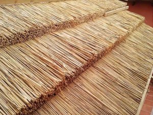tz-189-Thatch36 THATCH