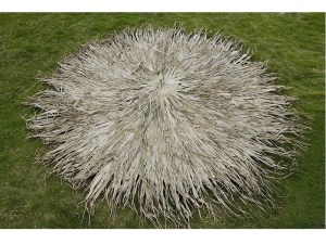 tz-252-112400-FAN-PALM omprela19 ΚΑΛΥΜΜΑ ΓΙΑ ΣΤΡΟΓΓΥΛΗ ΟΜΠΡΕΛΑ ΡΑΦΤΟ (FAN PALM) Φ400R