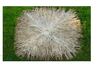 tz-253-112251-112201-00_ecoshadow.gr2 ΚΑΛΥΜΜΑ ΓΙΑ ΤΕΤΡΑΓΩΝΗ ΟΜΠΡΕΛΑ  ΡΑΦΤΟ (FAN PALM) 250Χ250CM