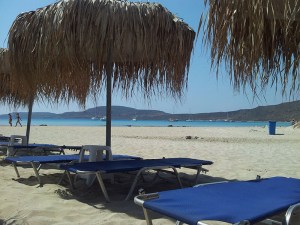 tz-253-112251-C-_Users_Dimitris_Desktop_omprela-majorca14 ΚΑΛΥΜΜΑ ΓΙΑ ΤΕΤΡΑΓΩΝΗ ΟΜΠΡΕΛΑ  ΡΑΦΤΟ (FAN PALM) 250Χ250CM