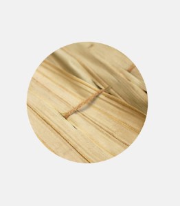 tz-253-112301-kalymma-omprelas-funpalm-2-920x1051 ΚΑΛΥΜΜΑ ΓΙΑ ΤΕΤΡΑΓΩΝΗ ΟΜΠΡΕΛΑ  ΡΑΦΤΟ (FAN PALM) 300Χ300CM