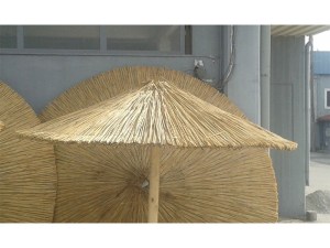 tz-266-20160218_1042215 ΑΝΤΑΛΛΑΚΤΙΚΟ ΨΑΘΙΝΟ ΚΑΠΕΛΟ ΟΜΠΡΕΛΑΣ Φ200