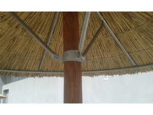tz-268-Skeletos-omprelas2 ΣΚΕΛΕΤΟΣ ΟΜΠΡΕΛΑΣ