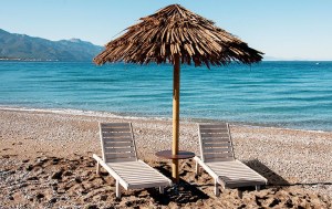tz-281-EC-121420-121420-00_ecoshadow.gr ΟΜΠΡΕΛΑ ΨΑΘΙΝΗ MAKUTI