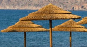 tz-286-EC-121120-121120ααααα ΟΜΠΡΕΛΑ THATCH