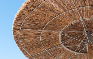 tz-321-EC-121121-121120-02_ecoshadow.gr ΟΜΠΡΕΛΑ THATCH B-ECONOMY