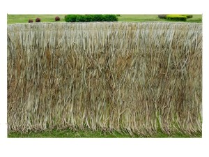 tz-EC-112101-112100-01_ecoshadow.gr9 ΠΑΝΕΛ ΦΟΙΝΙΚΟΦΥΛΛΩΝ FAN PALM 100X200CM