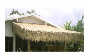 tz-EC-112102-finikofill_3249924 ΠΑΝΕΛ ΦΟΙΝΙΚΟΦΥΛΛΩΝ FAN PALM ΠΛΕΚΤΟ 100X200CM
