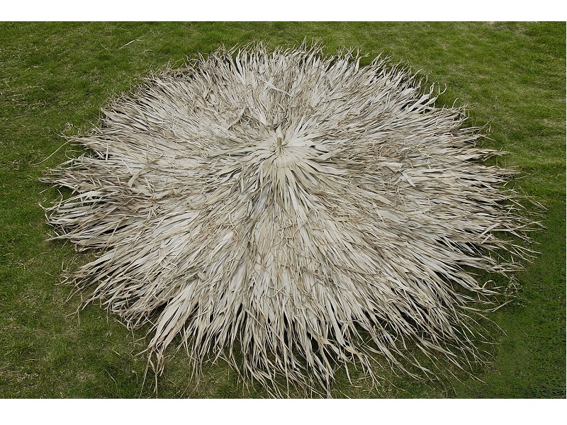 tz-252-112350-FAN-PALM omprela19 ΚΑΛΥΜΜΑ ΓΙΑ ΣΤΡΟΓΓΥΛΗ ΟΜΠΡΕΛΑ ΡΑΦΤΟ (FAN PALM) Φ350R